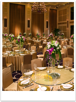 Djs for Corporate and Christmas Parties